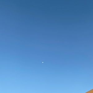 Meet your Posher, Miranda